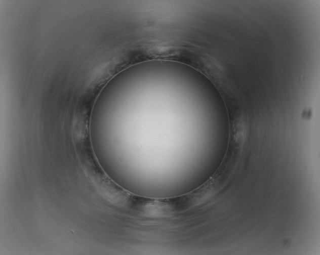 X0000111460515200907131459