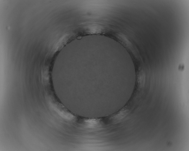 X0000111460516200907131459
