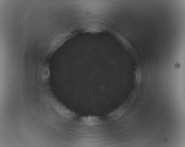 X0000111460517200907131459