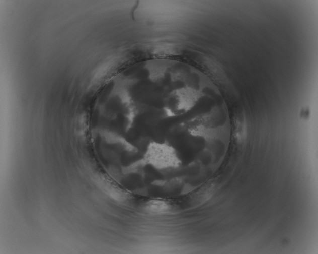 X0000111460519200907131459