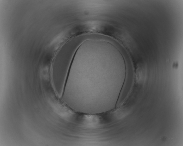 X0000111460520200907131459