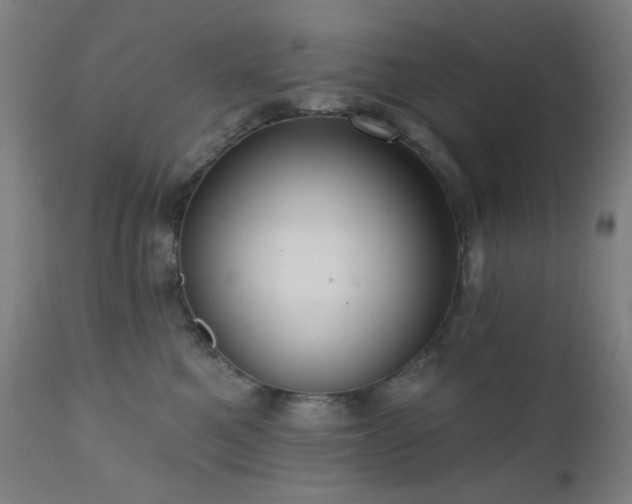 X0000111460521200907131459