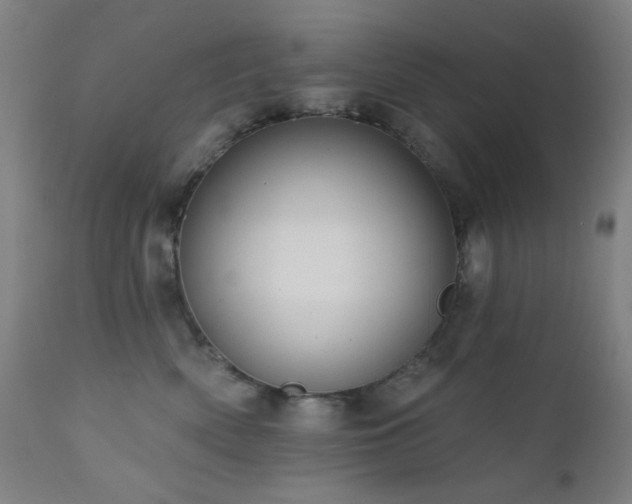 X0000111460522200907131459