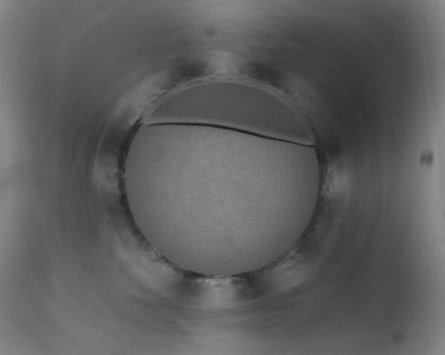 X0000111460524200907131458