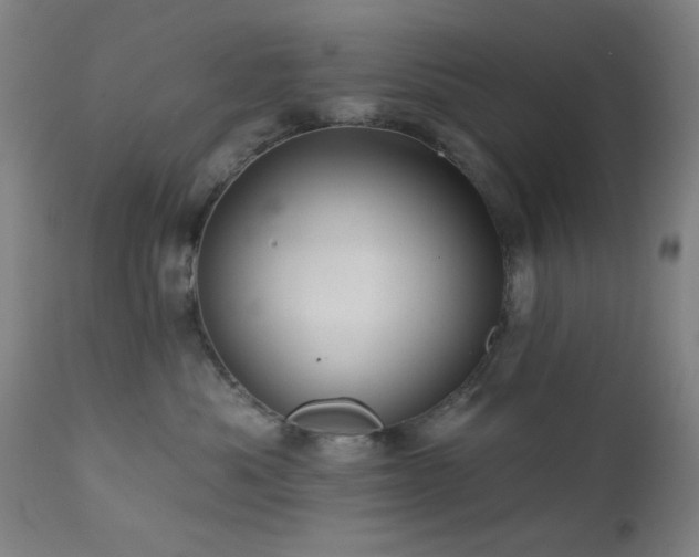 X0000111460525200907131458