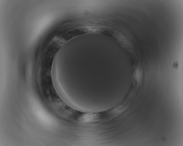 X0000111460526200907131458