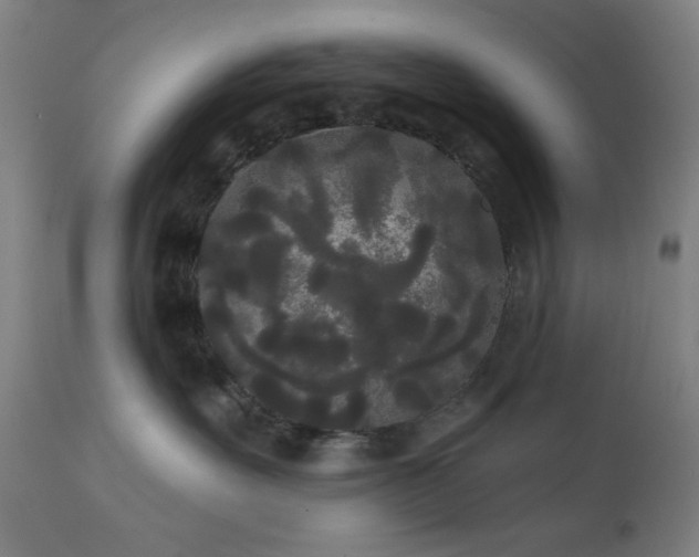X0000111460527200907131458