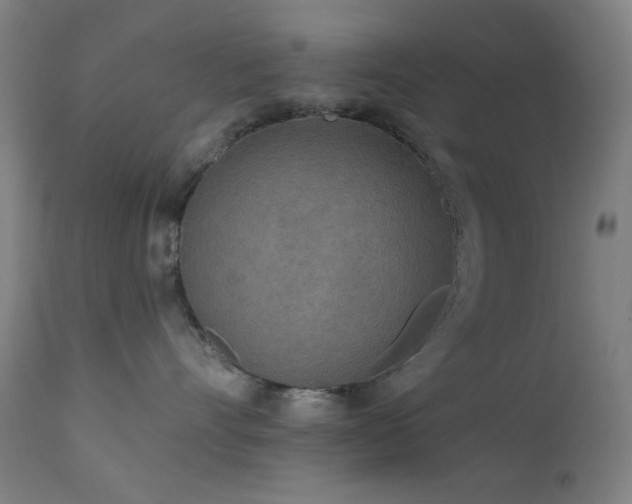 X0000111460528200907131458