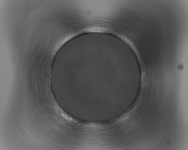 X0000111460529200907131457