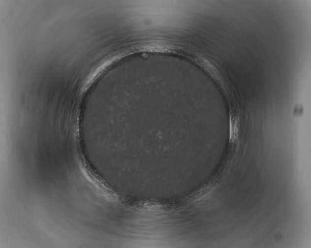 X0000111460531200907131458