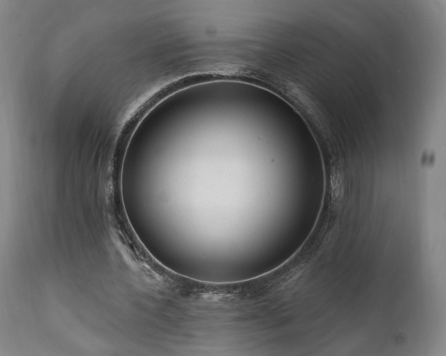 X0000111460532200907131458