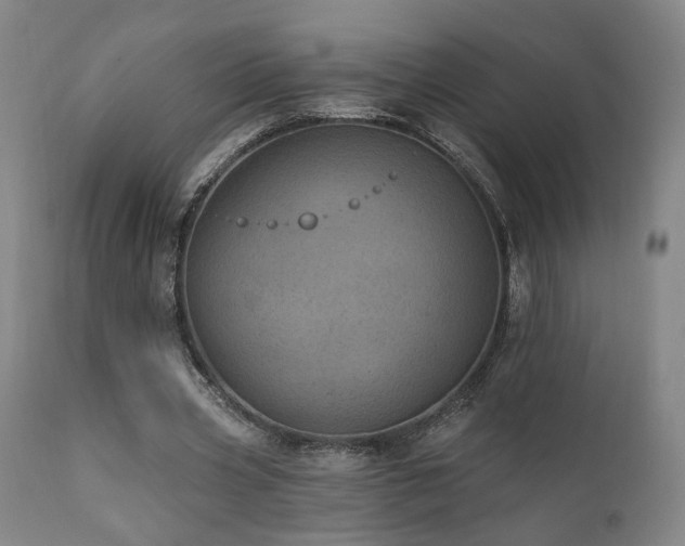 X0000111460533200907131458