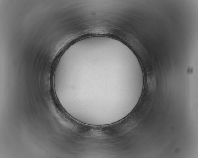 X0000111460534200907131458