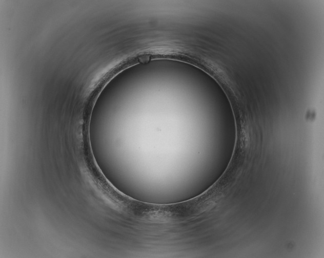 X0000111460535200907131458