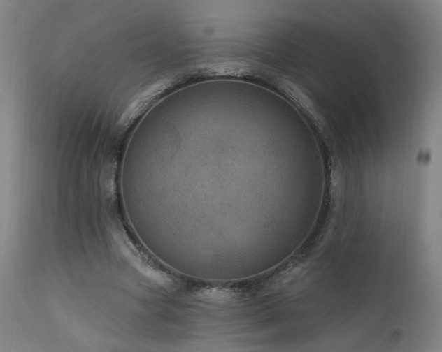 X0000111460537200907131458