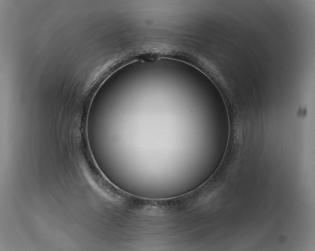 X0000111460538200907131458