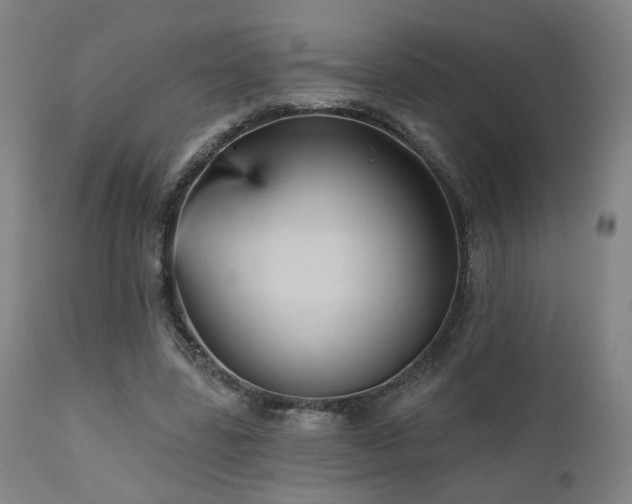 X0000111460539200907131458