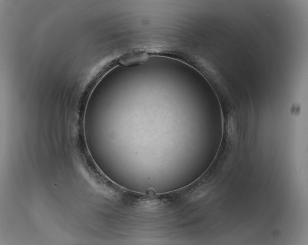 X0000111460540200907131458