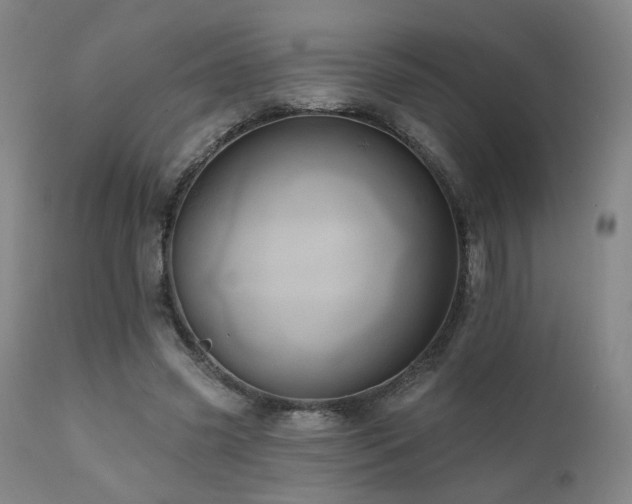 X0000111460541200907131458
