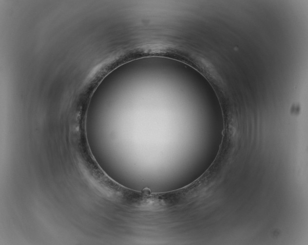 X0000111460543200907131458