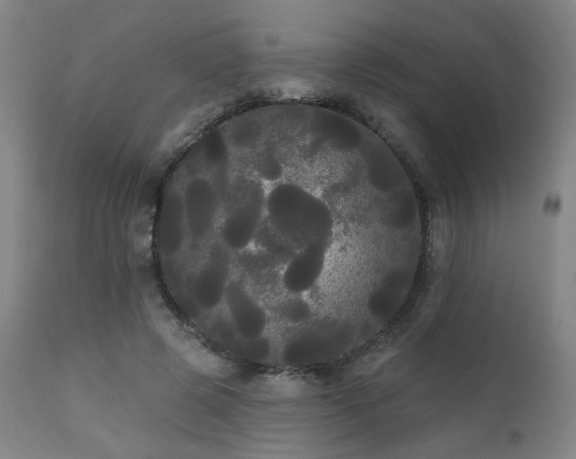 X0000111460545200907131458