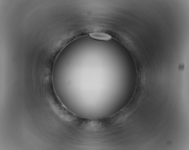 X0000111460546200907131458
