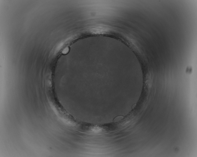 X0000111460547200907131458