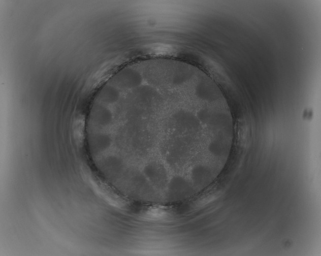 X0000111460550200907131458