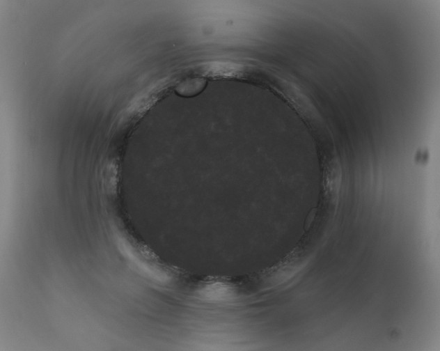 X0000111460551200907131458