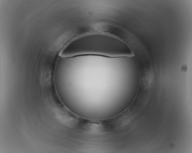 X0000111460552200907131458