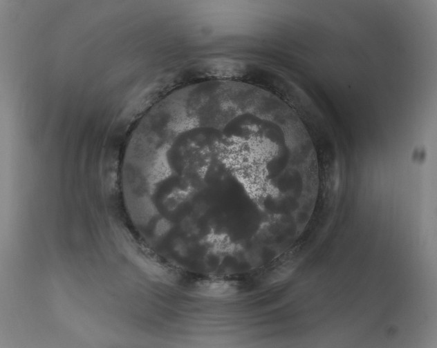 X0000111460553200907131458
