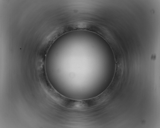 X0000111460555200907131458