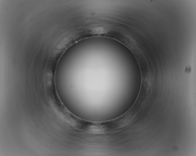 X0000111460556200907131458