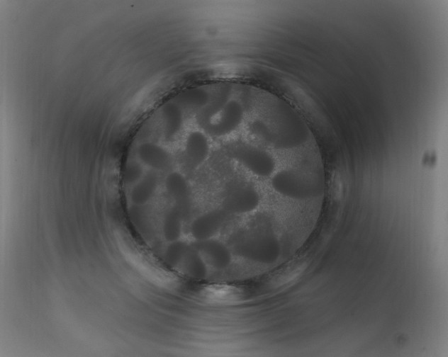 X0000111460557200907131458