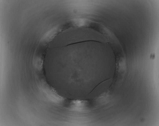 X0000111460558200907131458