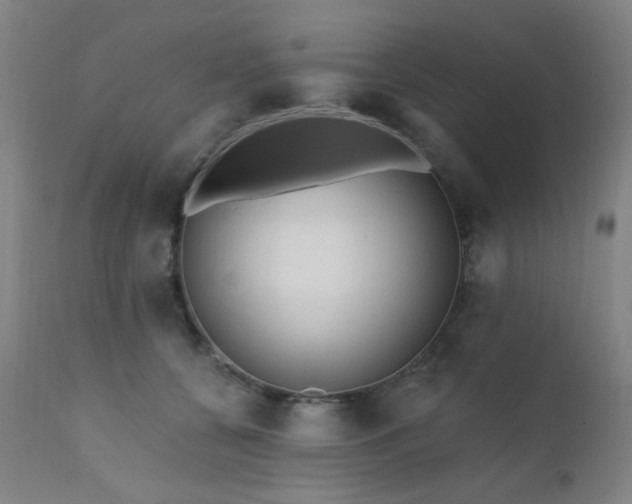 X0000111460560200907131458