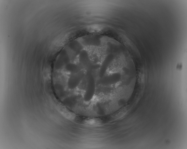 X0000111460561200907131458