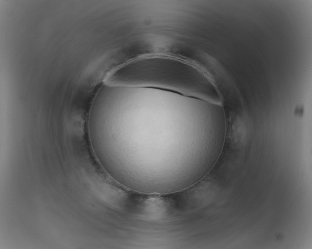 X0000111460562200907131458