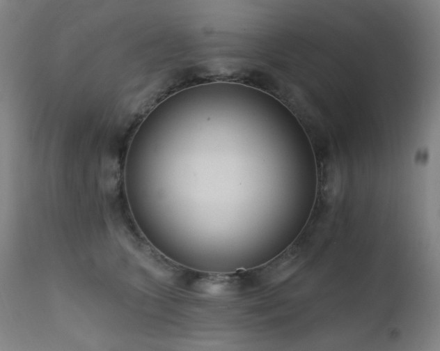 X0000111460563200907131458