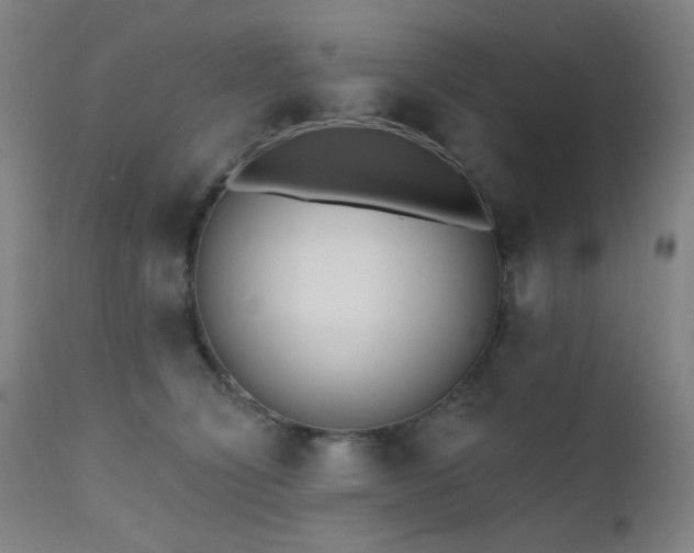 X0000111460564200907131458