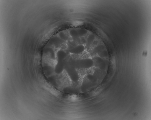X0000111460565200907131458