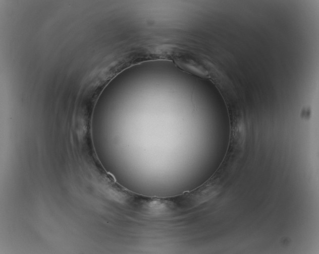 X0000111460566200907131458