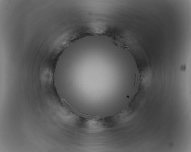 X0000111460568200907131458
