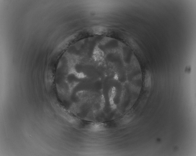 X0000111460569200907131458