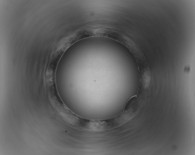 X0000111460571200907131458