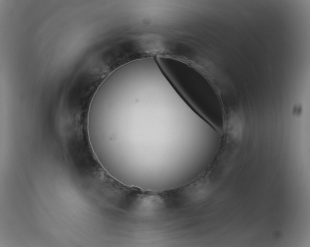 X0000111460572200907131458