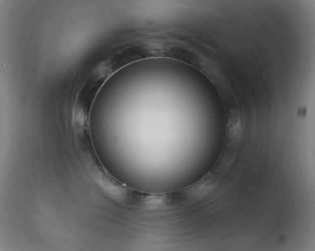 X0000111460574200907131458