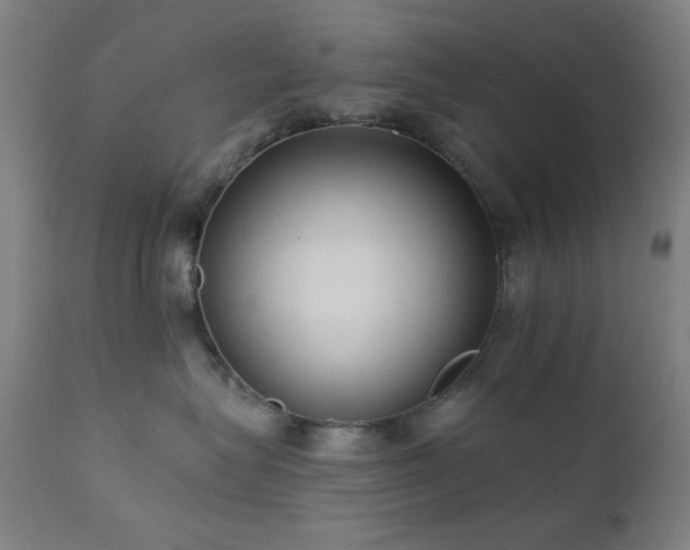X0000111460575200907131458