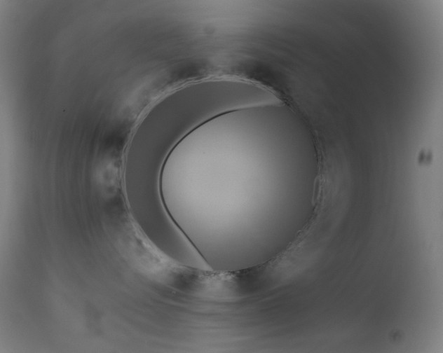 X0000111460576200907131458