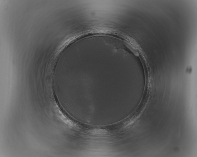 X0000111460577200907131457